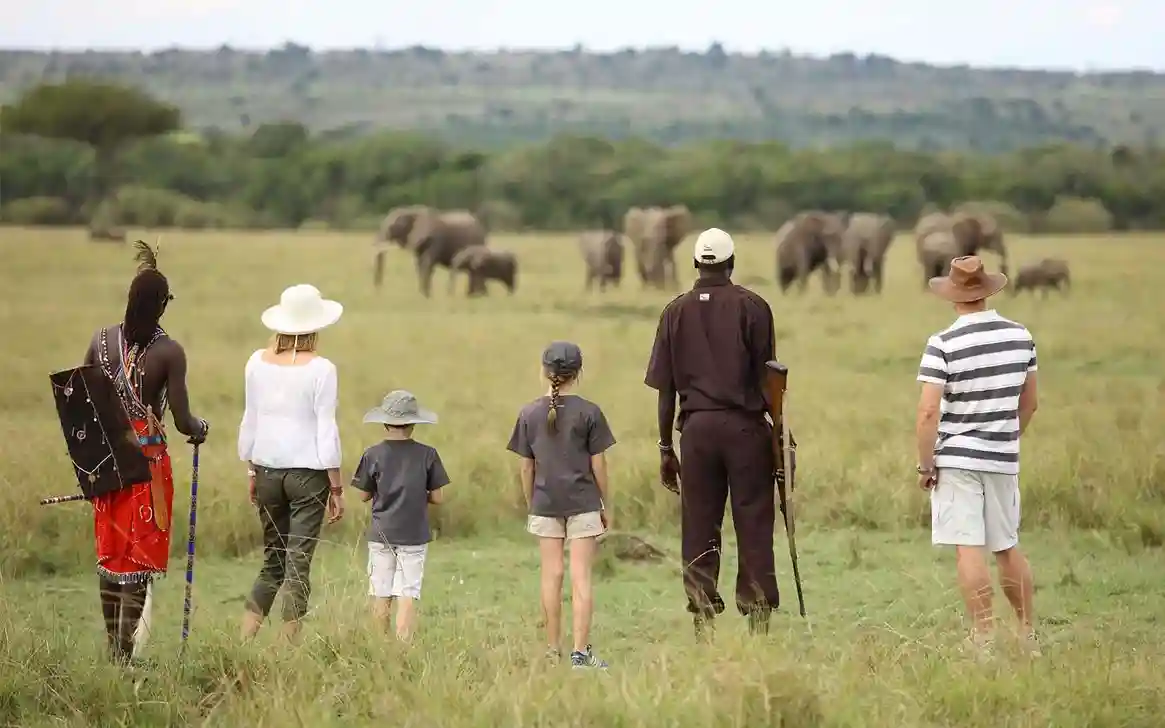 Baba Simba Tours safari experience