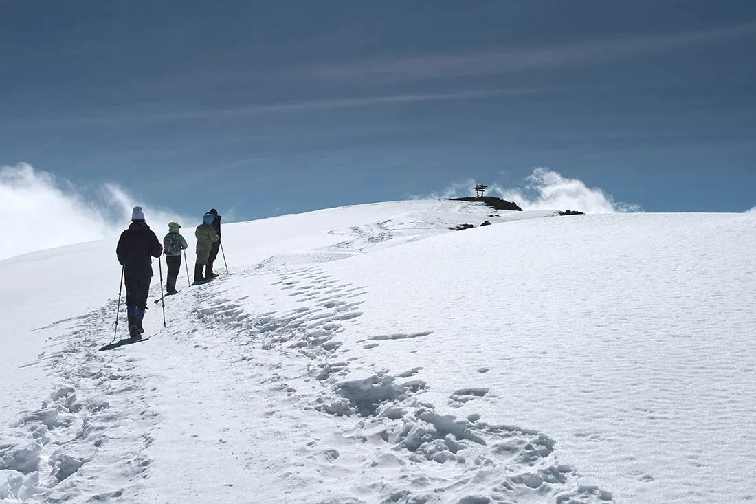Kilimanjaro Summit Success Rate: What You Need to Know