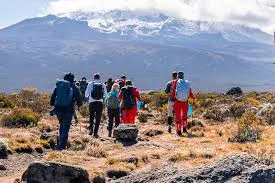 Umbwe Route — 6-Day Kilimanjaro Climb
