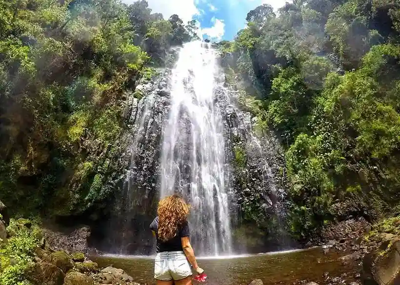 Materuni Waterfalls & Coffee Tour