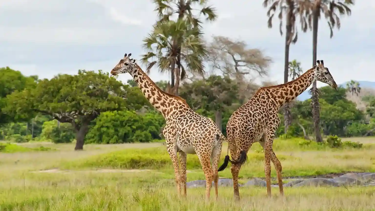 Serengeti National Park