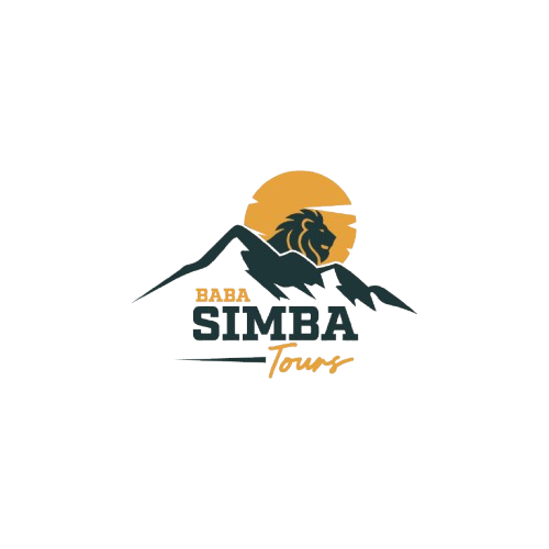 Baba Simba Tours and Safaris