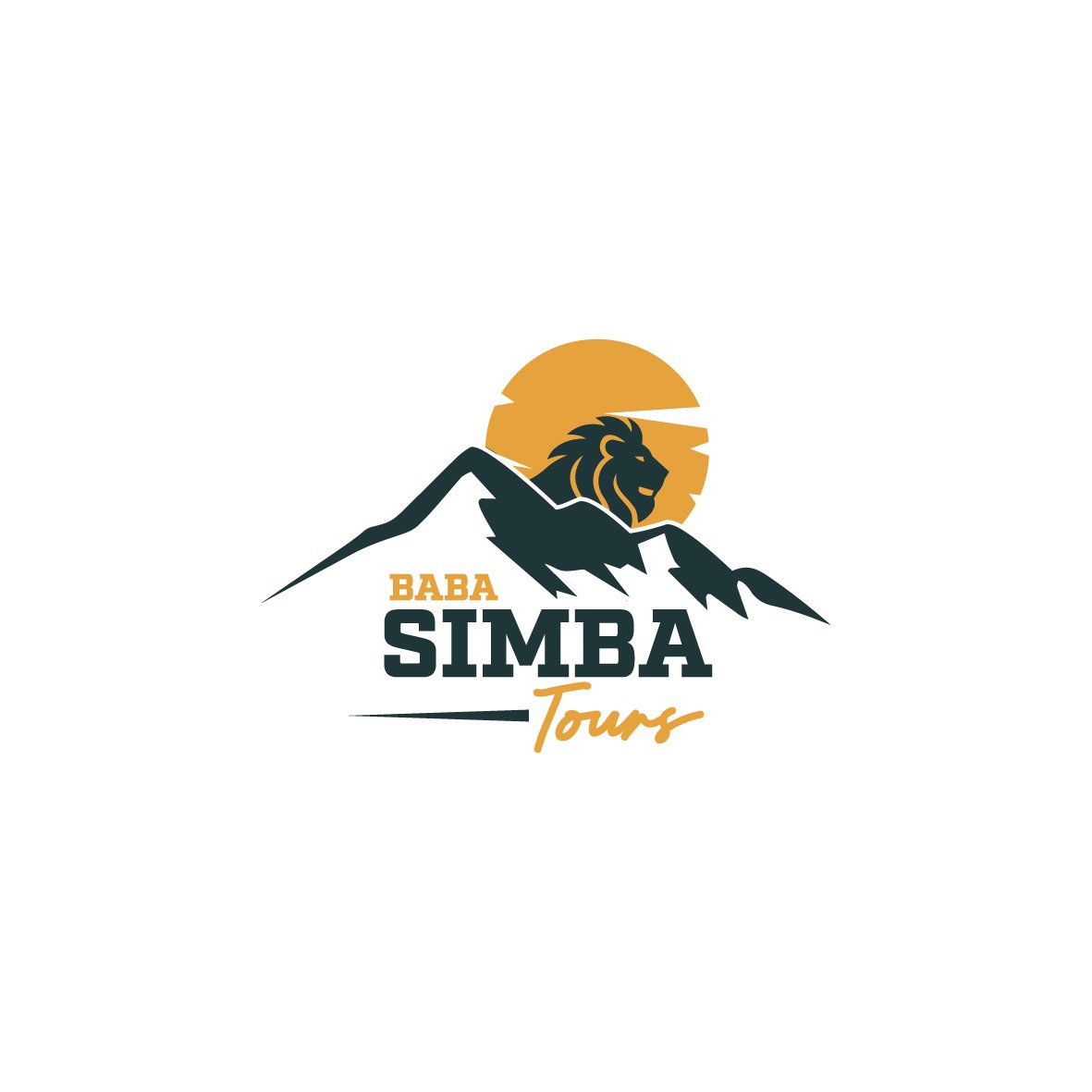 Baba Simba Tours and Safaris